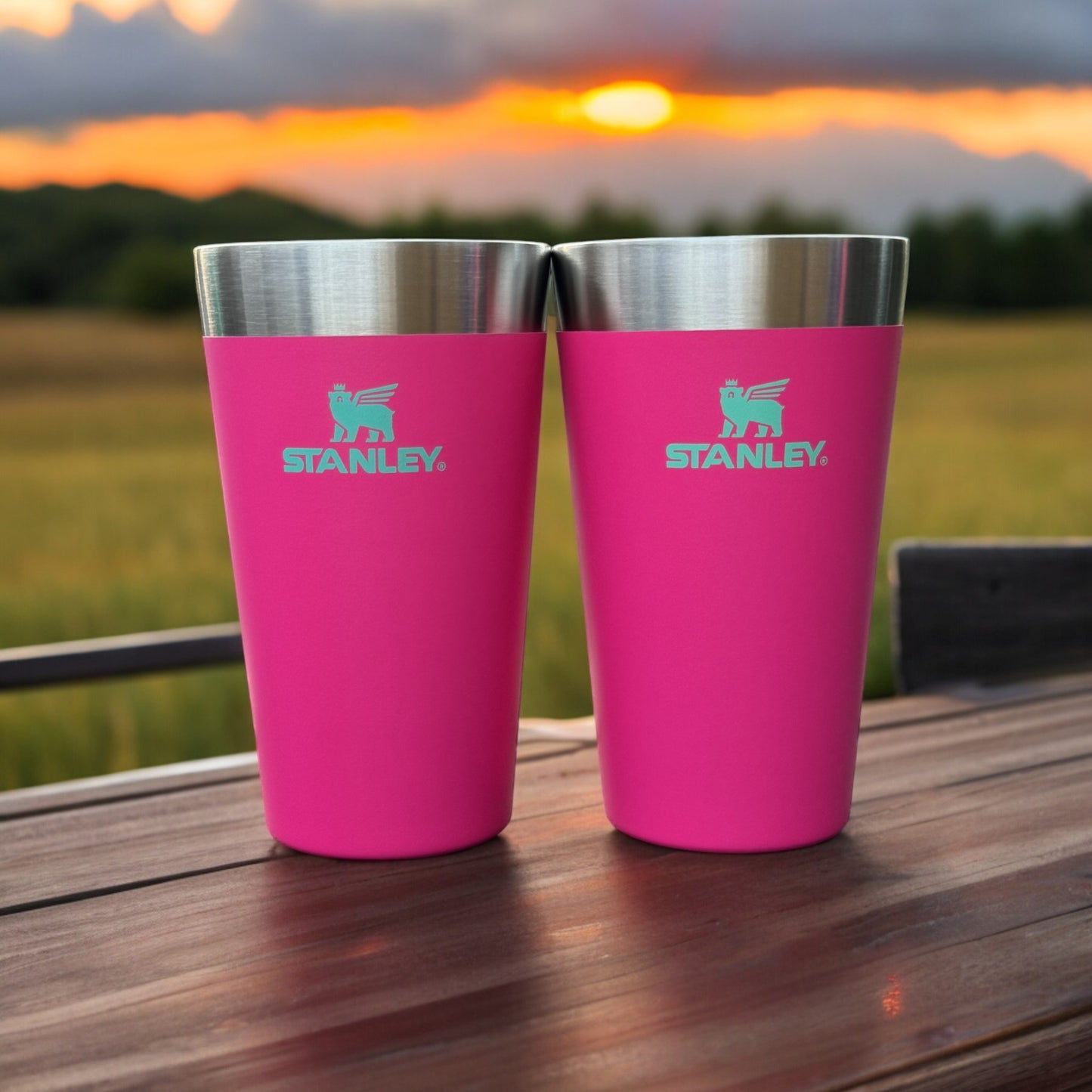 STANLEY 16oz BEER PINT (SET OF MATCHING TWO) in PASSION PINK